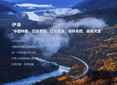 伊春市乡村文旅规划项目